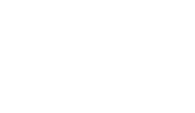 Logo for QIBN